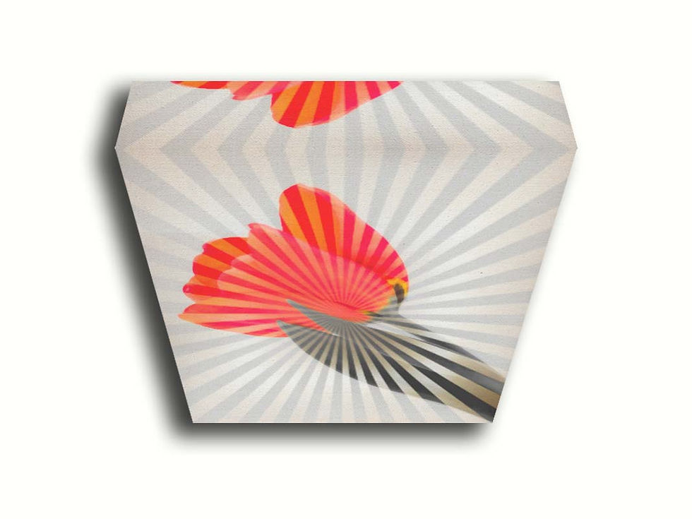 Thumbnail: Tulip Splash