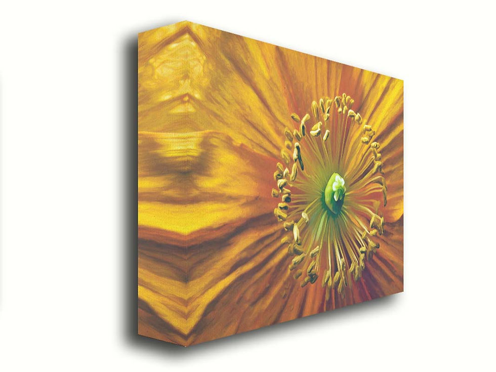 Thumbnail: Orange Macro Kaboom