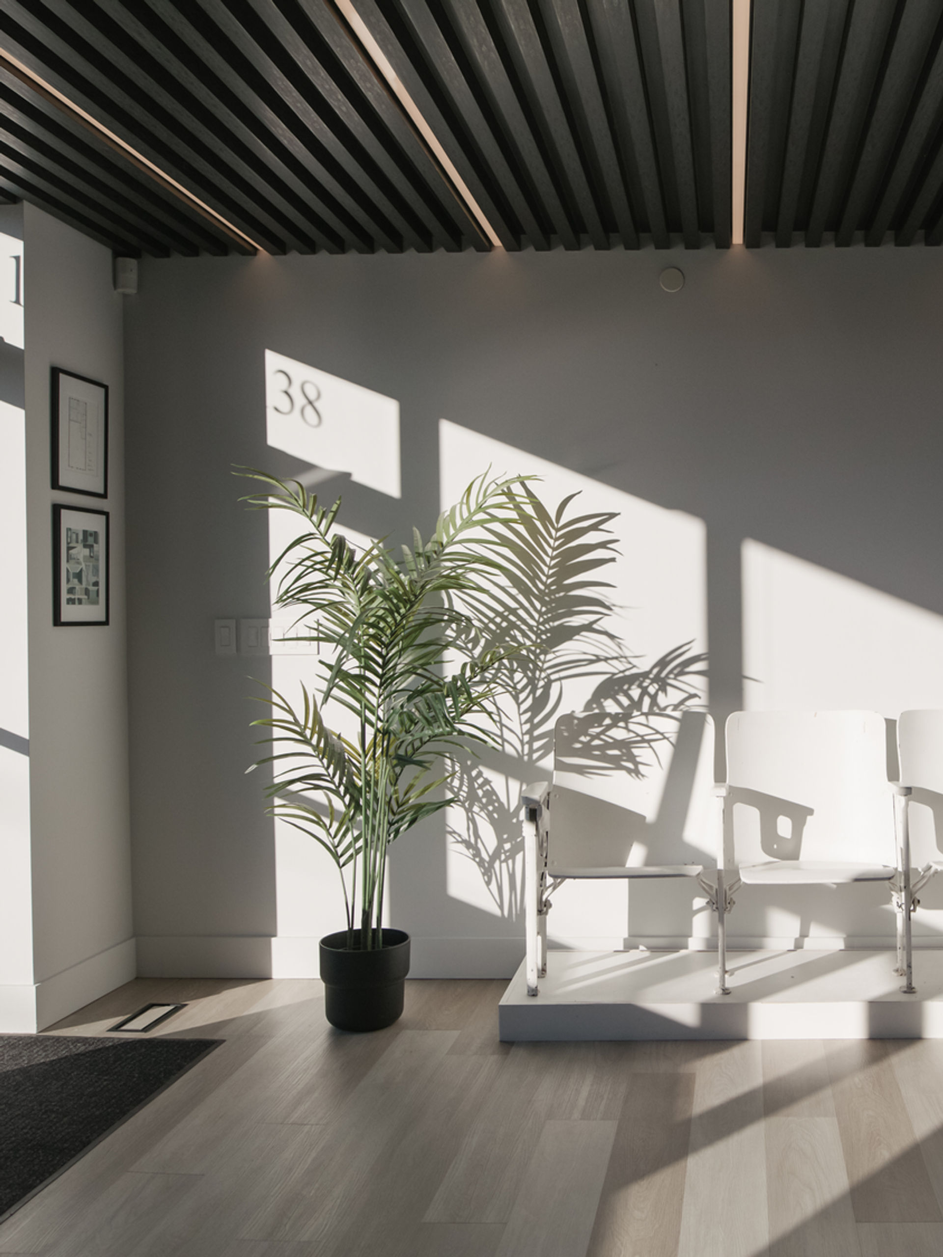 White three-seat bench on a platform in a sunlit boardroom lobby, with strong window shadows, a tall potted plant, and a black slatted ceiling with linear lights.