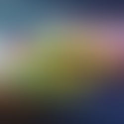 요세미티 / 샌프란시스코 4박5일