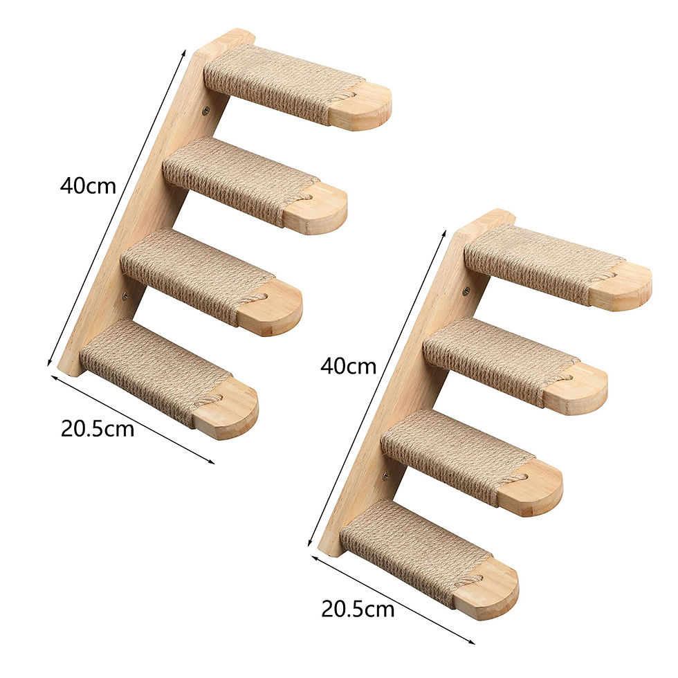 Thumbnail: Covora Haven Cat Steps