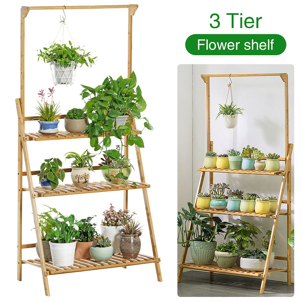 Thumbnail: Covora Grove Plant Stand