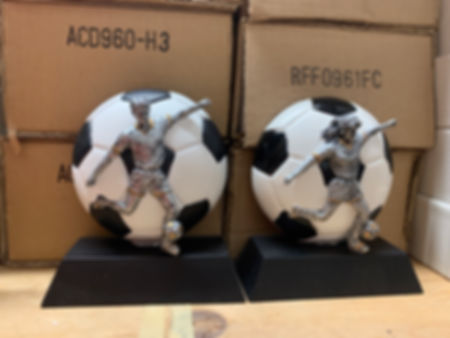 Soccer ball , engraving included, male, female , soccer player 