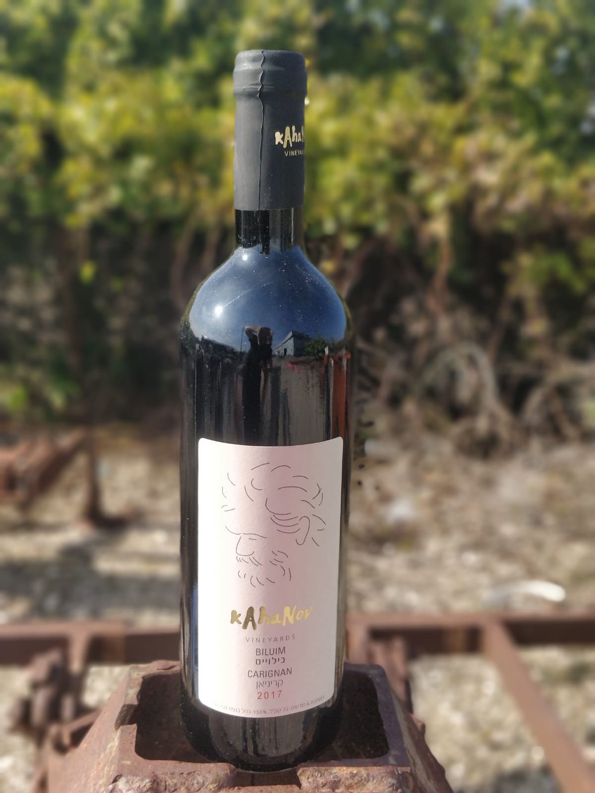 Biluim Carignan-  בילויים קריניאן 2017