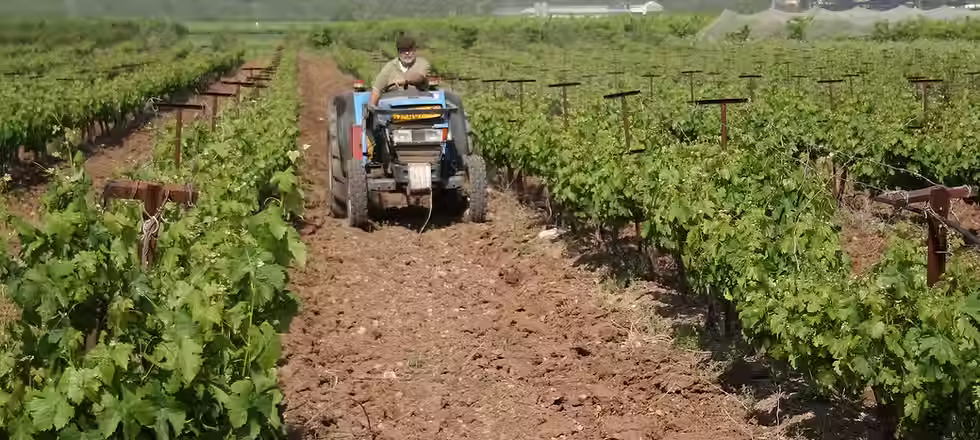 Avi Tractor.avif