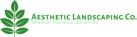 Original on Transparent.png
