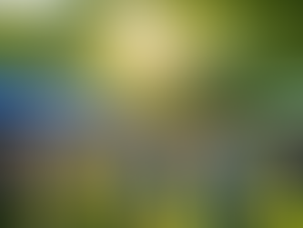 Empowering Community Engagement Through Forward United NJ