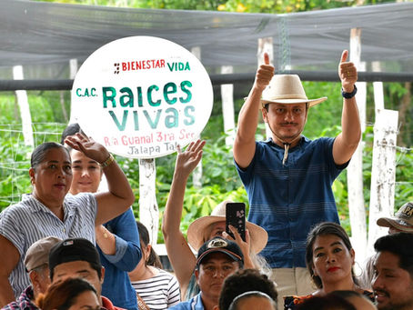 Con Sembrando Vida, el campo tabasqueño siembra patrimonio, empleo y futuro: Javier May