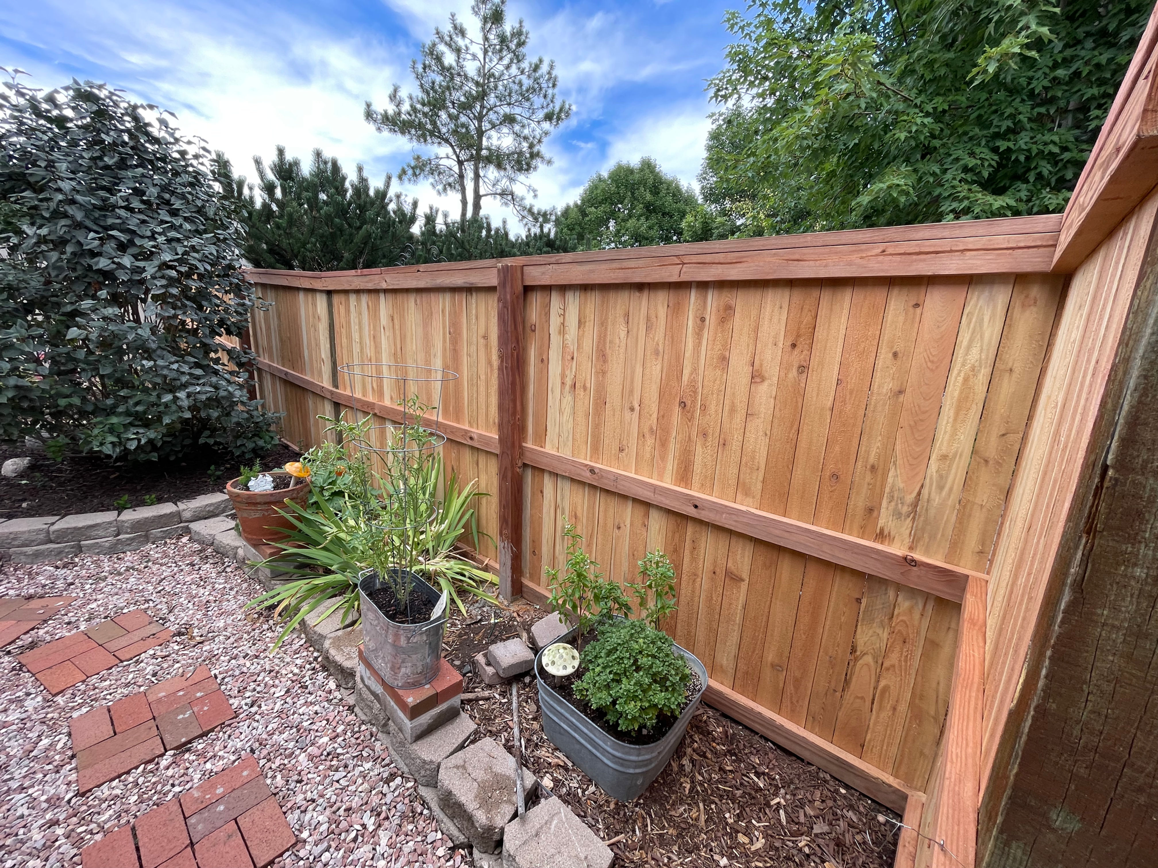 Stained cedar fence