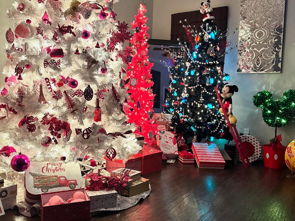 Christmas Embellishments.JPG