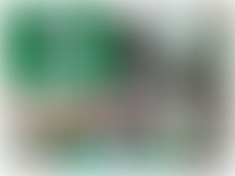 人生で初めての麻雀!