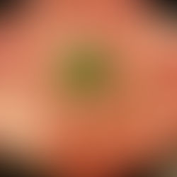 家族水入らずの時間。