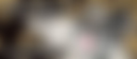 人狼TLPT北陸に上陸!