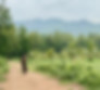 GSDR Natures Cave Landscave.jpg