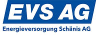 Logo von Energieversorgung Schänis AG Kunde von PLC SOLUTION GmbH