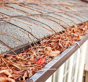gutter cleaning.jpg