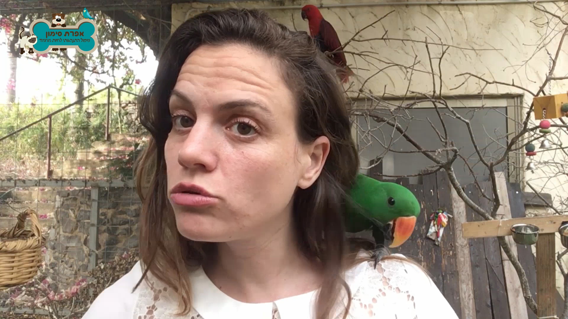 איך נכון להגיב לצווחות
