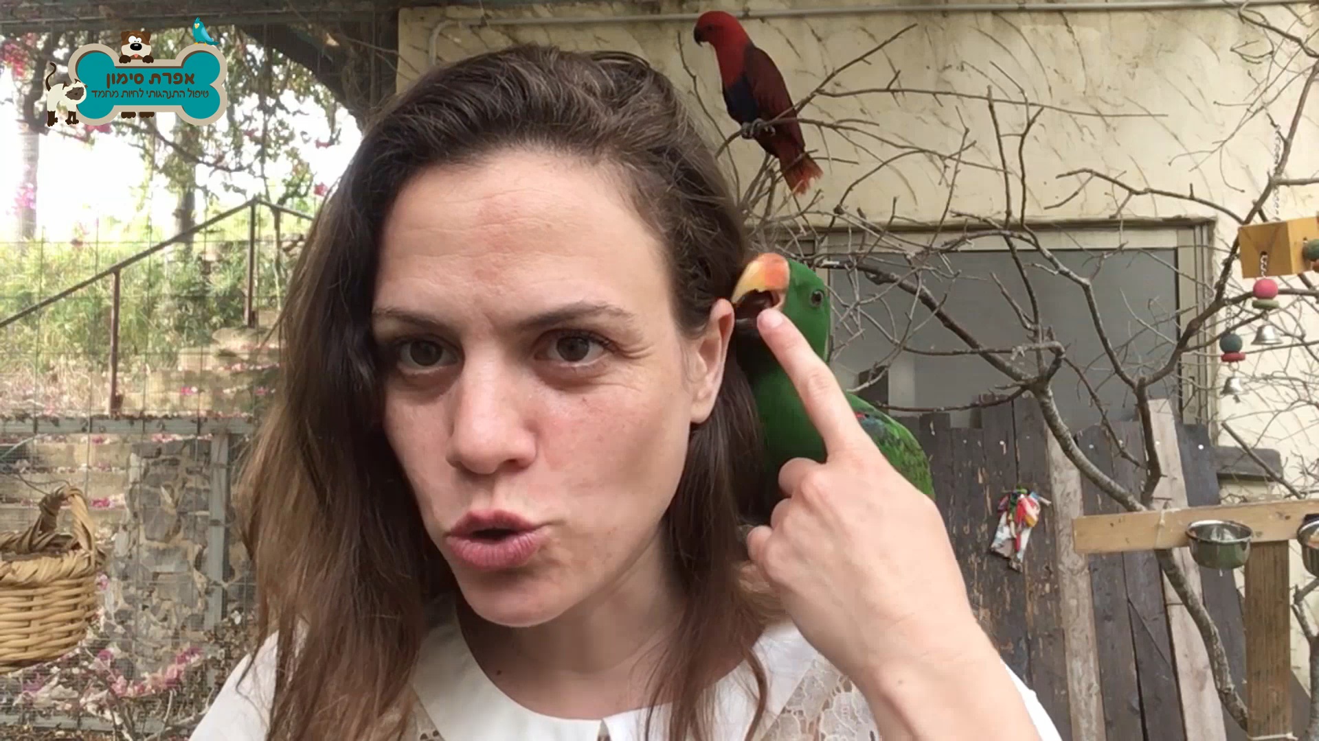 פרק 4: איך לשים גבול לתוכי "לא"? "אסור"?