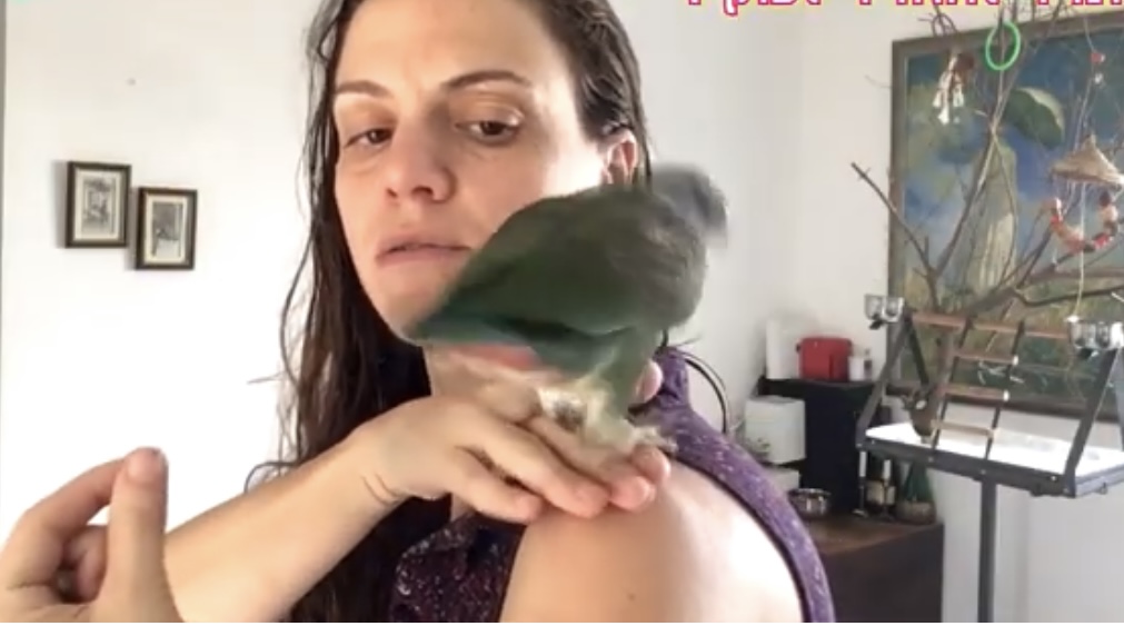 גבולות ושמירת יחסים