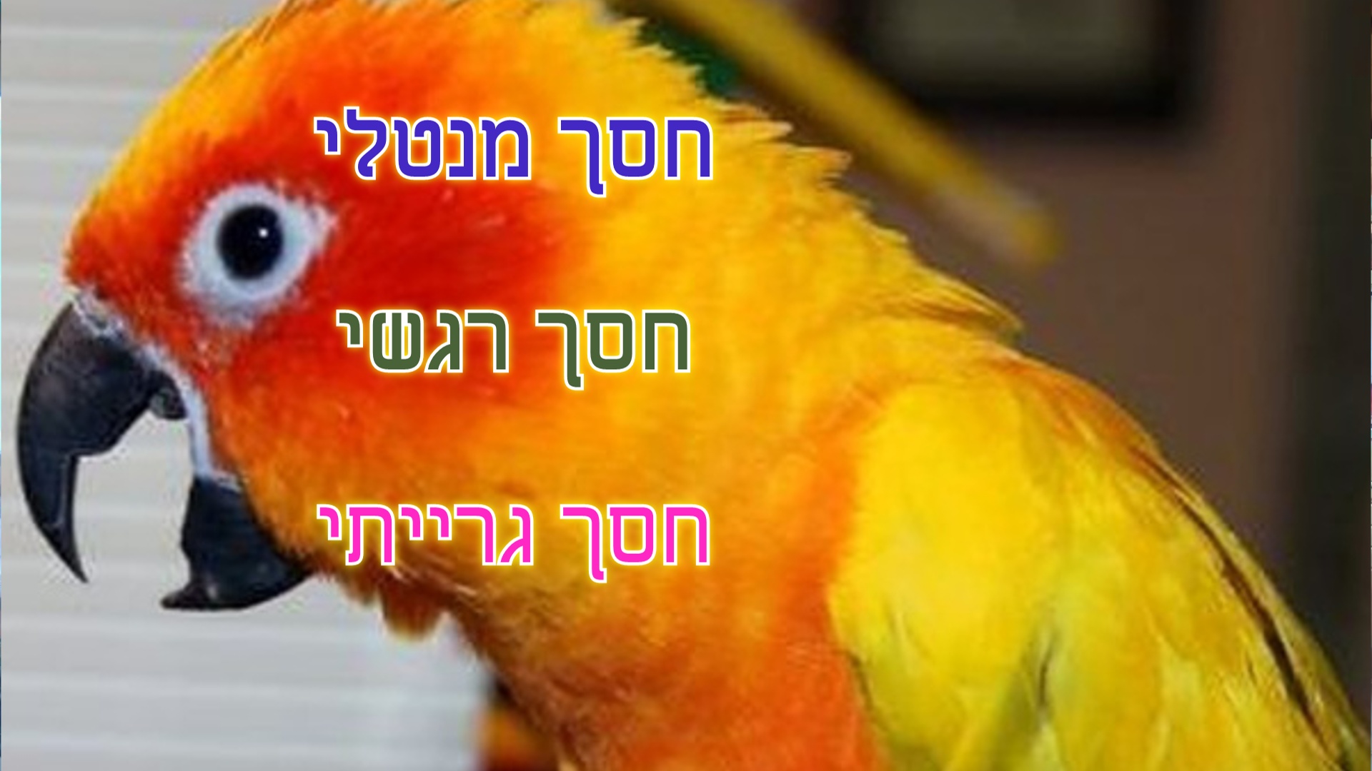 נלמד מהם שלושת החסכים