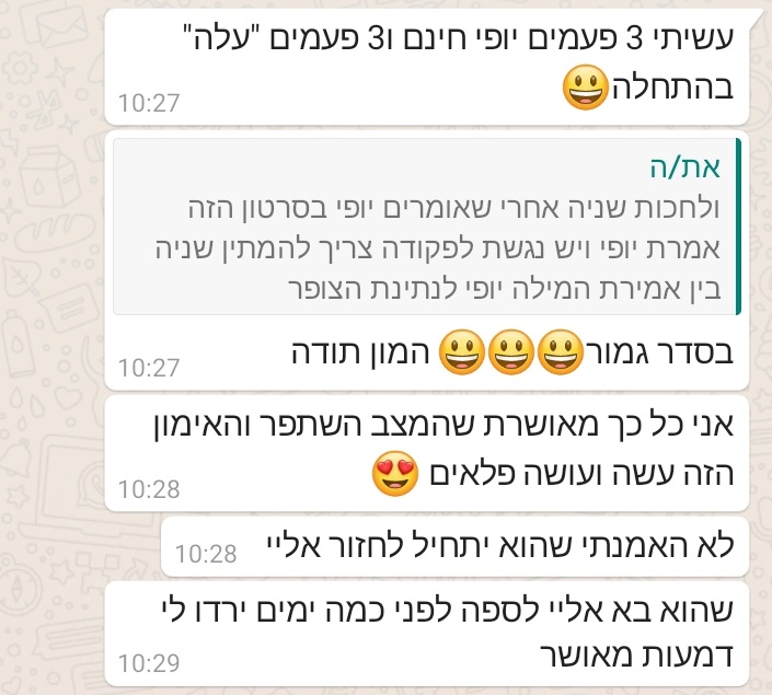 המלצה 2