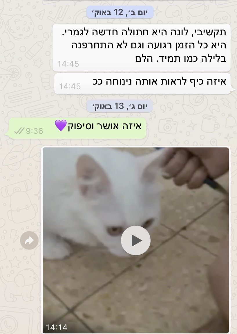 המלצה 15