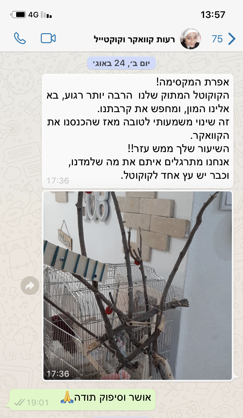 המלצה 8