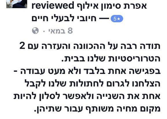 חתול באימון