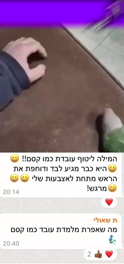 המלצה 2