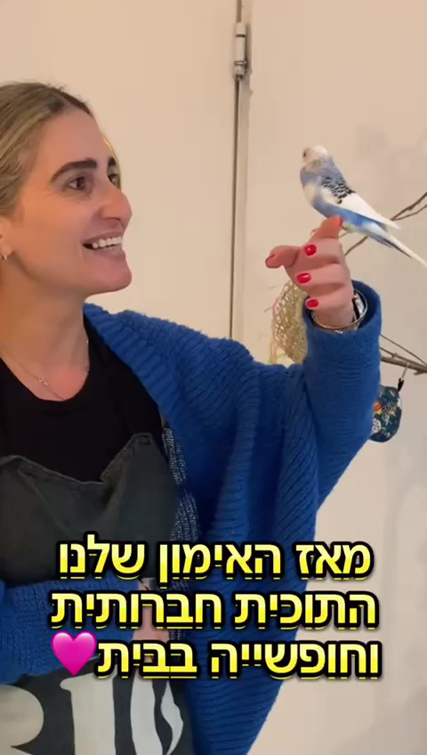 המלצה 3