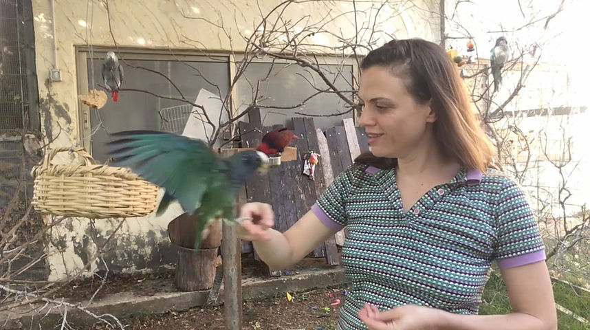 אני עם ספיריט עף.jpg