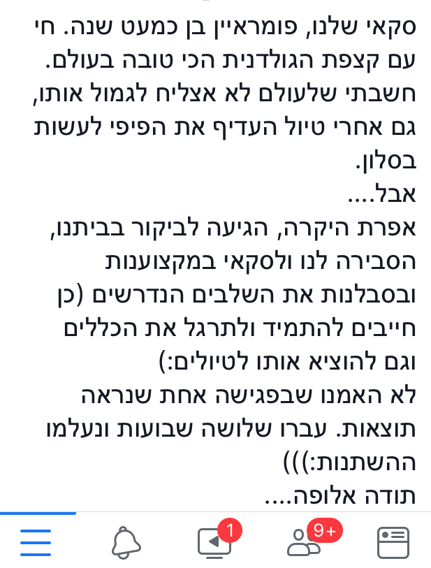 המלצה 5
