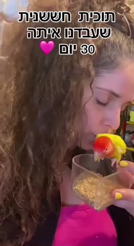 המלצה 5
