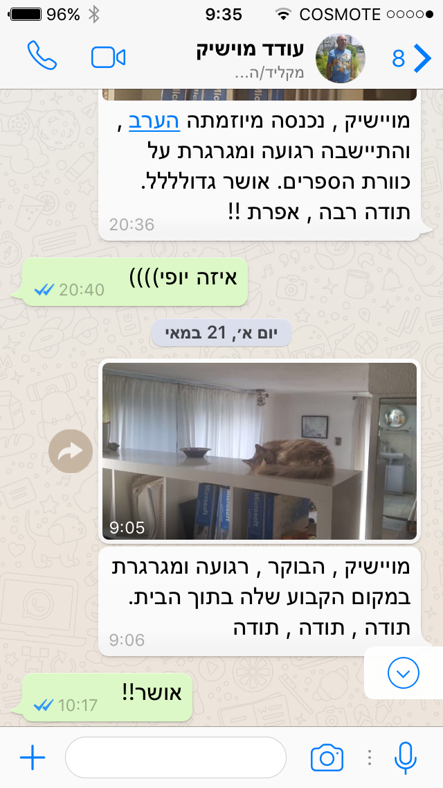 המלצה 11
