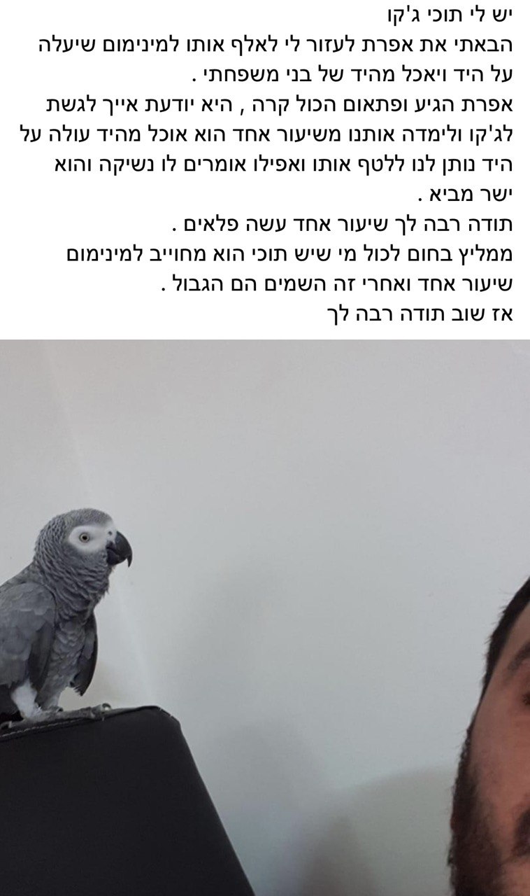 המלצה 3