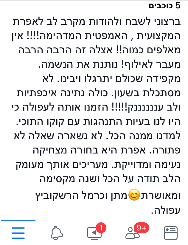 המלצה 1
