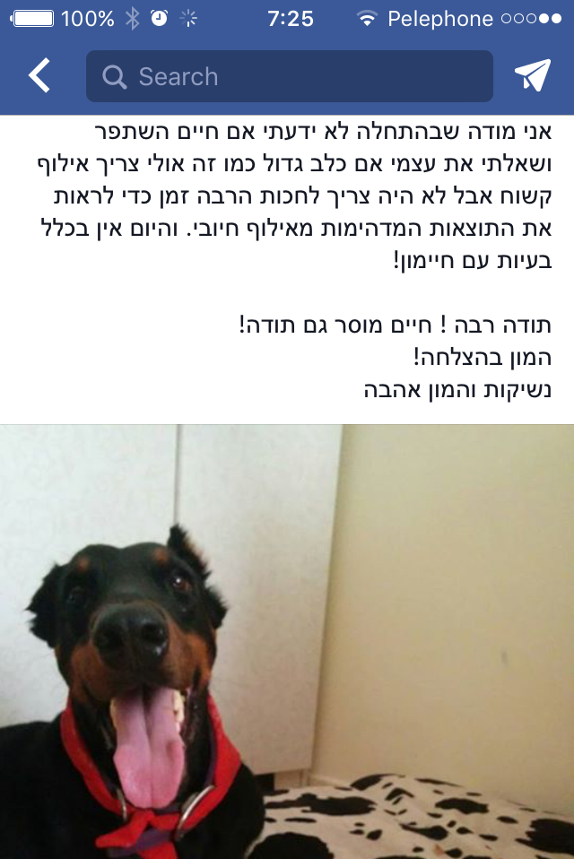 המלצה 13