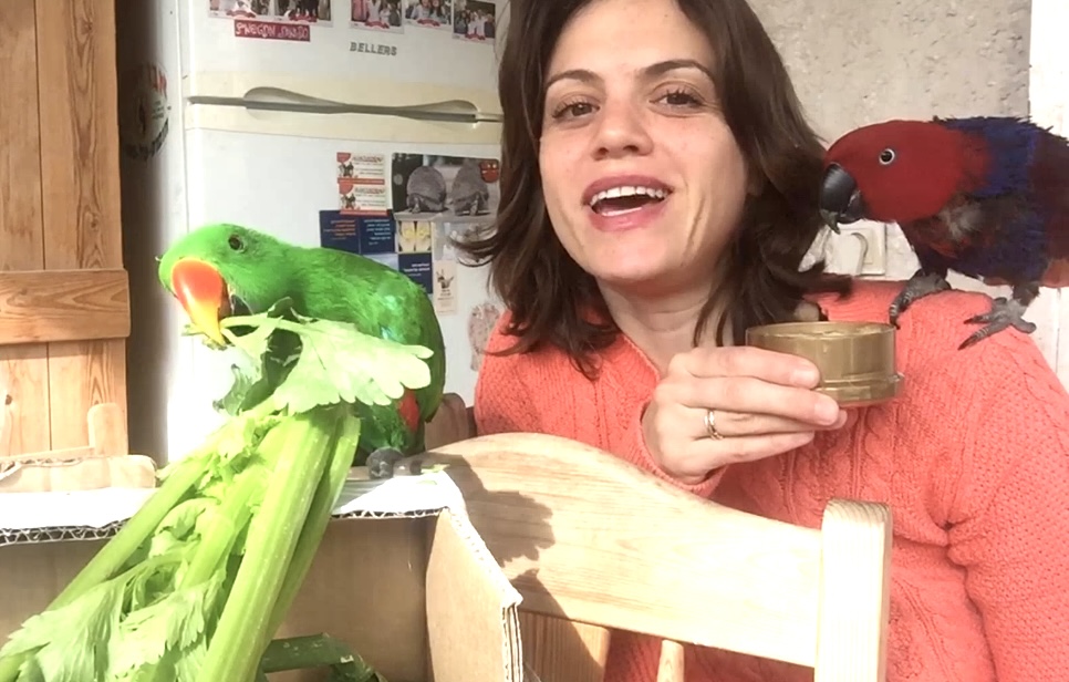 תזונה בריאה