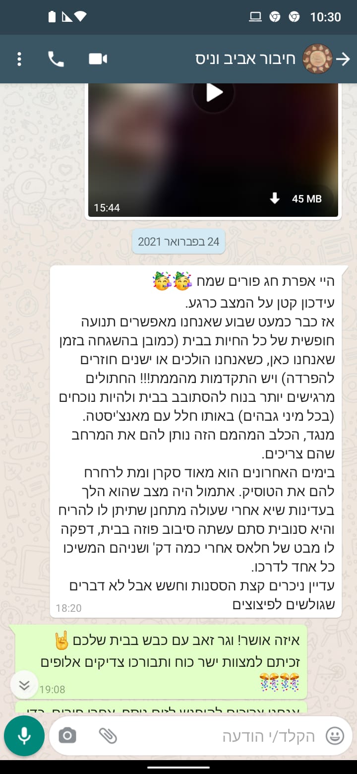 המלצה 14