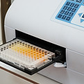 ELISA Testing Cry1Ac