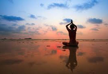 wellfit yoga classes noida