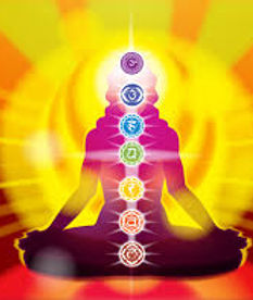 wellfit yoga classes noida
