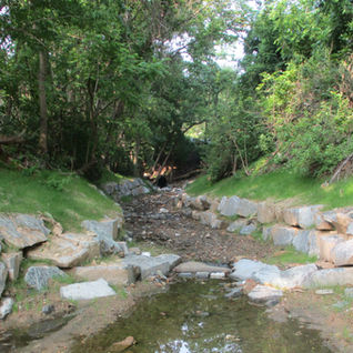 Queenswood Stream Restoration