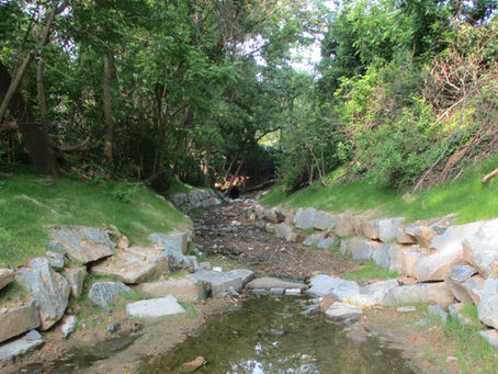 Queenswood Stream Restoration