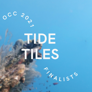 Meet our final five – Tide Tiles