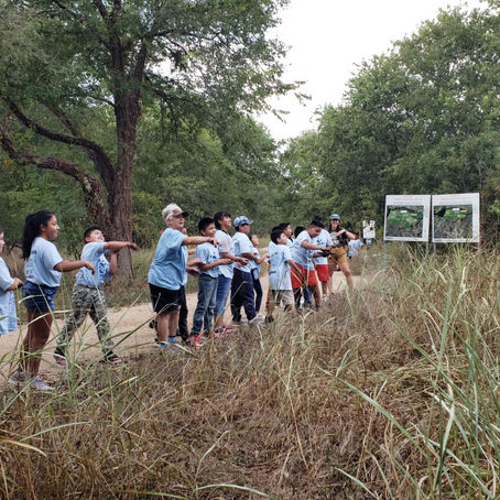 Step by step guide to making your own seed balls!