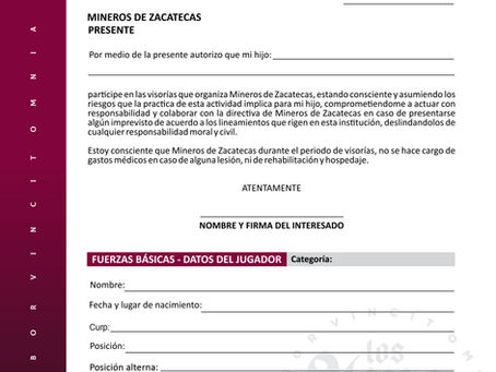 Carta Responsiva 2026