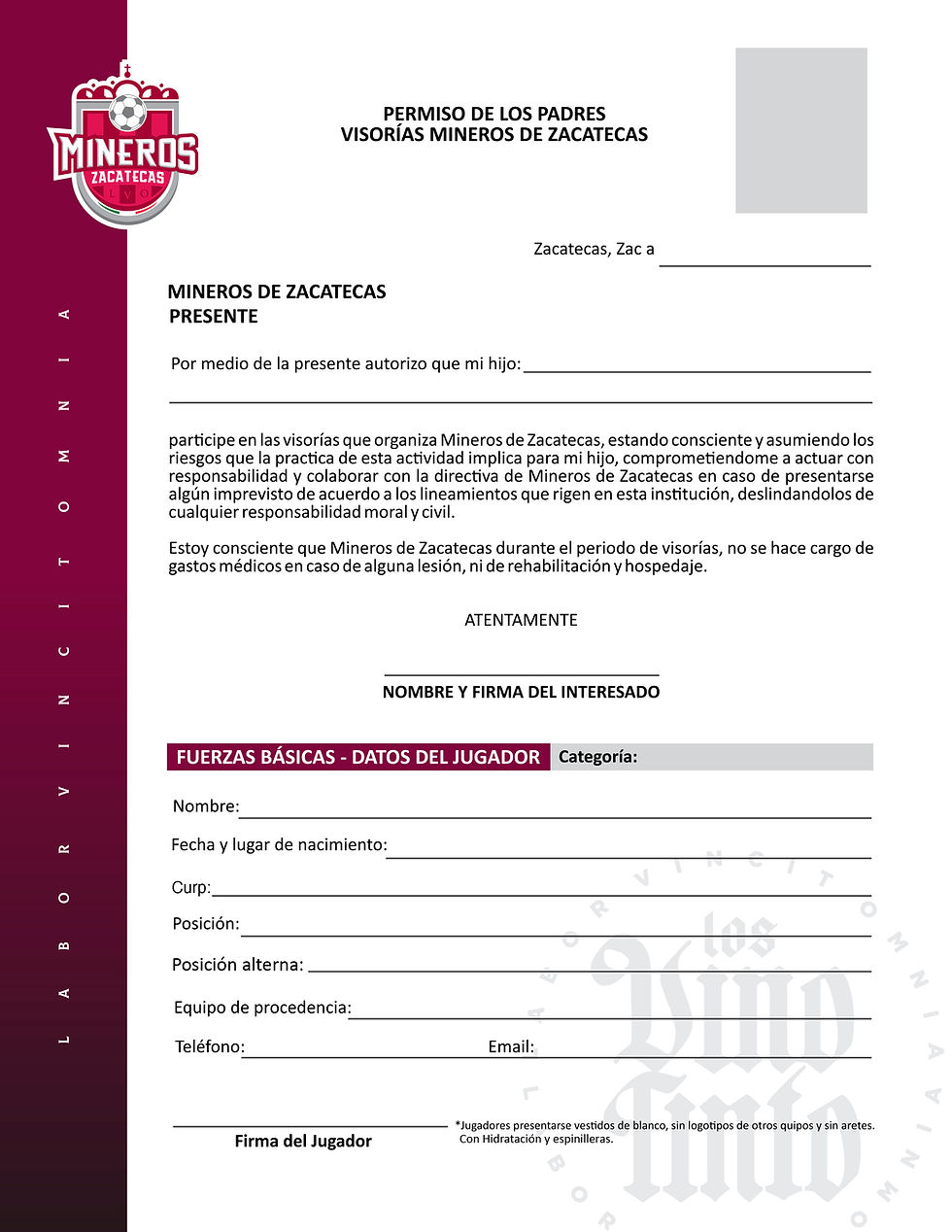 Carta Responsiva 2026