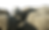 DSCF5679-2.png