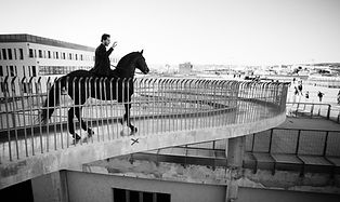 LES-ECHAPPEES